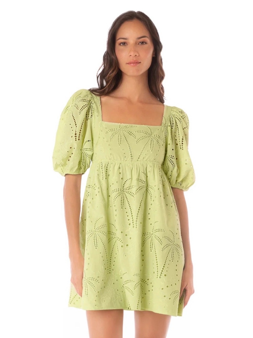Maaji Linen-Blend Eyelet Puff Sleeve Mini Dress in Light Green